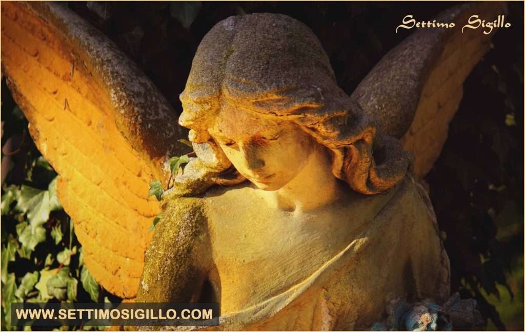 SETTIMO SIGILLO RITUALI D'AMORE